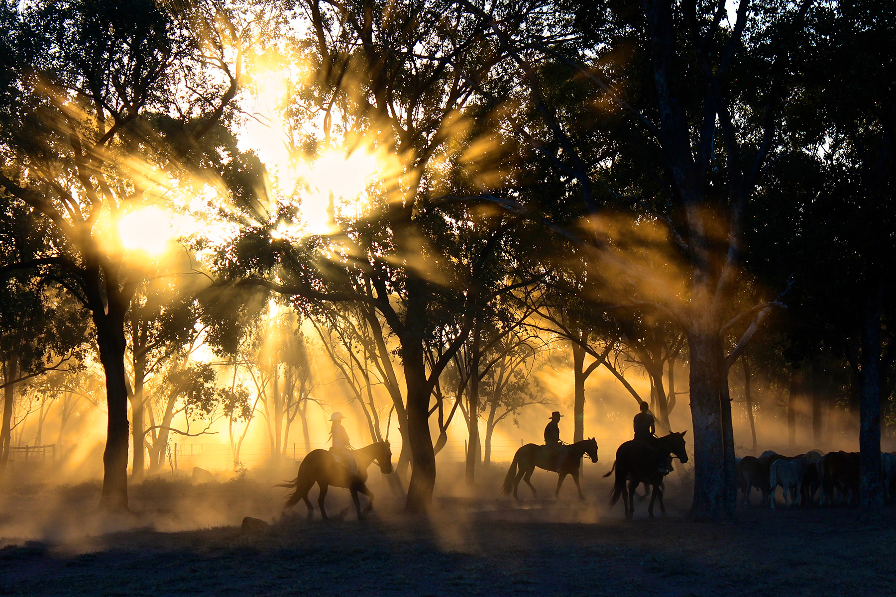 ATHRA's 13 Golden Rules