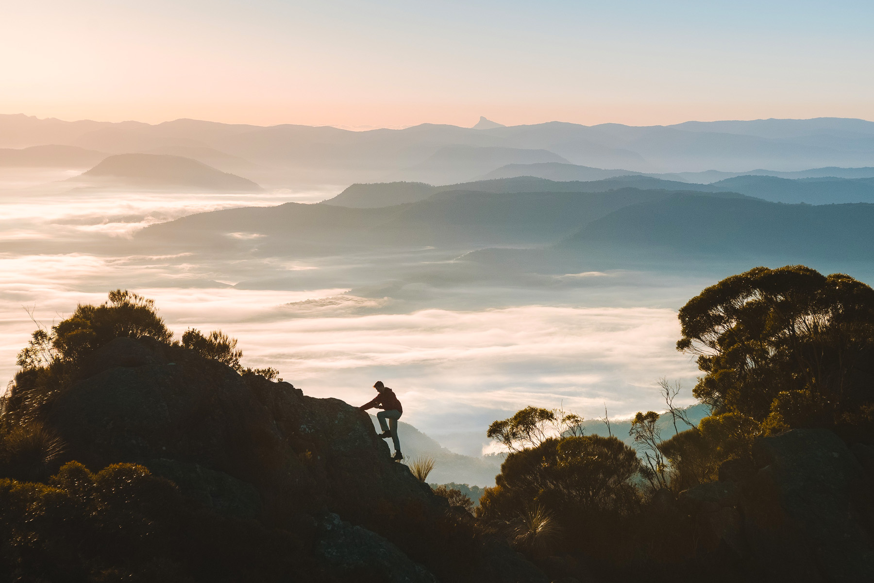 Environmental Code of Ethics