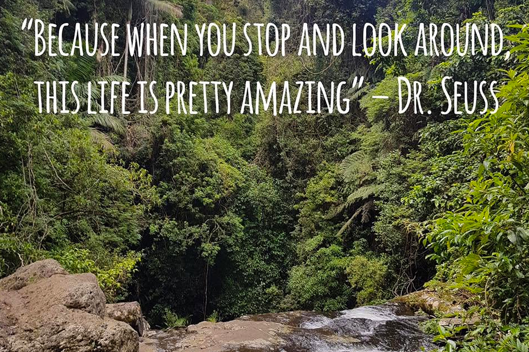 Bushwalking Queensland
