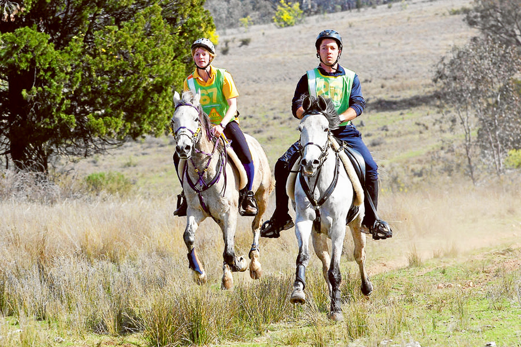 Queensland Endurance Riders