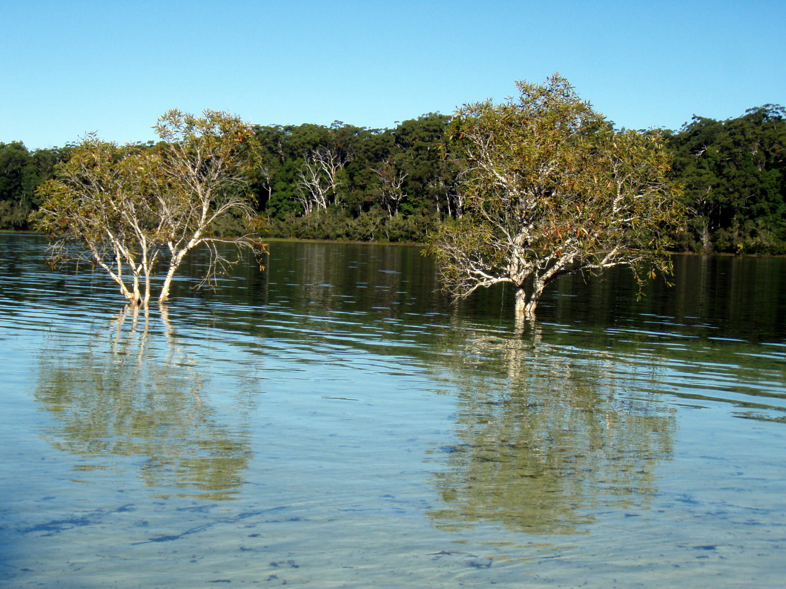 Bushwalking
K'gari