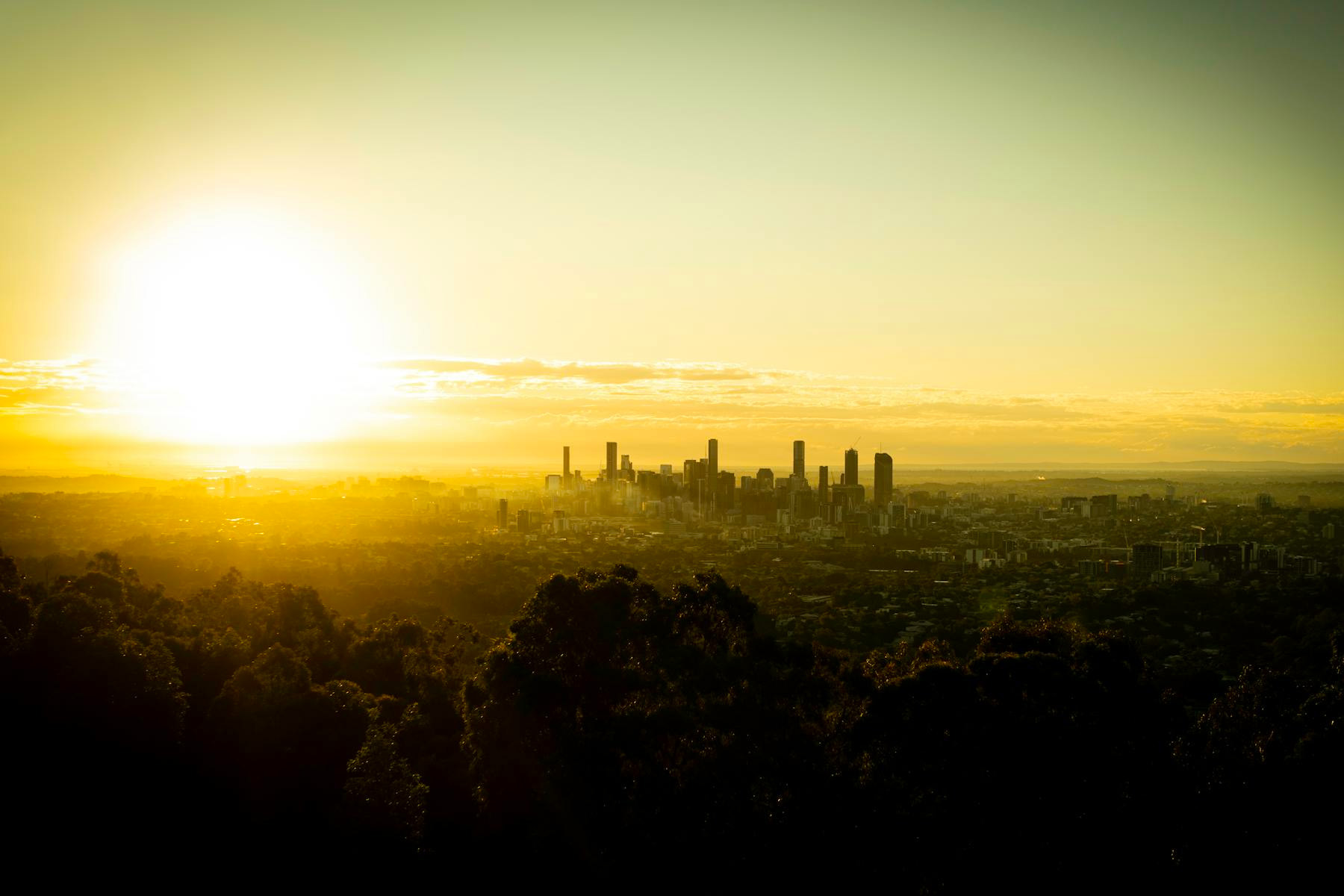 Mt Coot-tha Views, Trails, Beginner’s Guide to the Mt Coot-tha Summit Walk