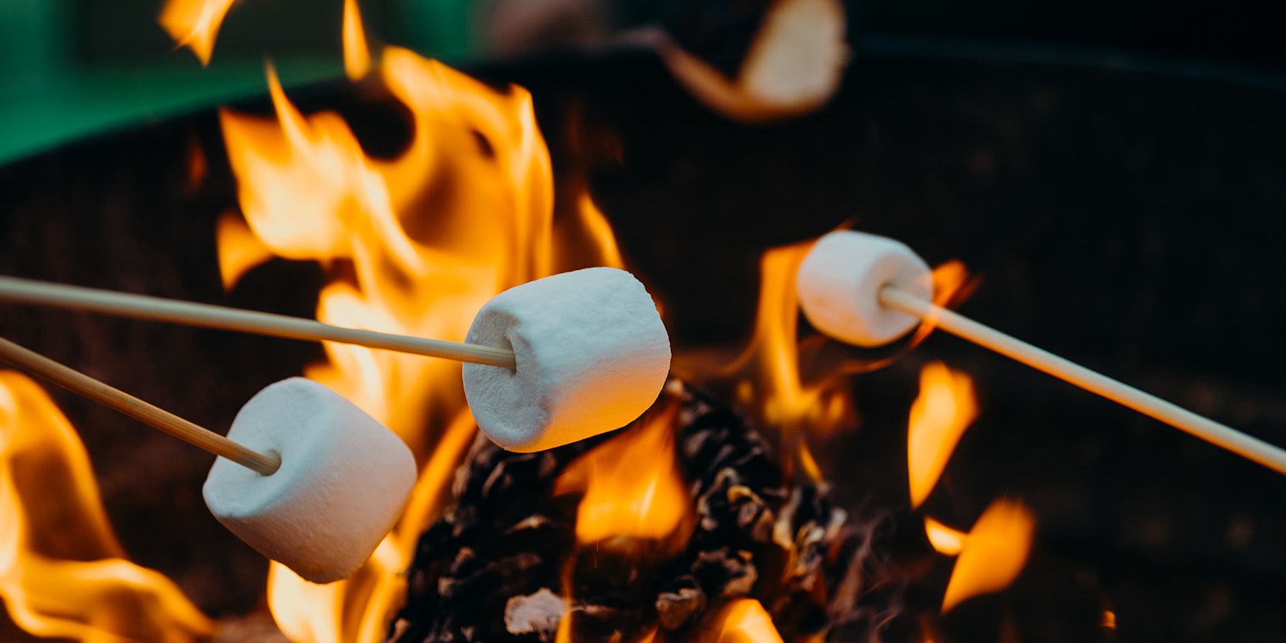 Family Camping, Marshmallows