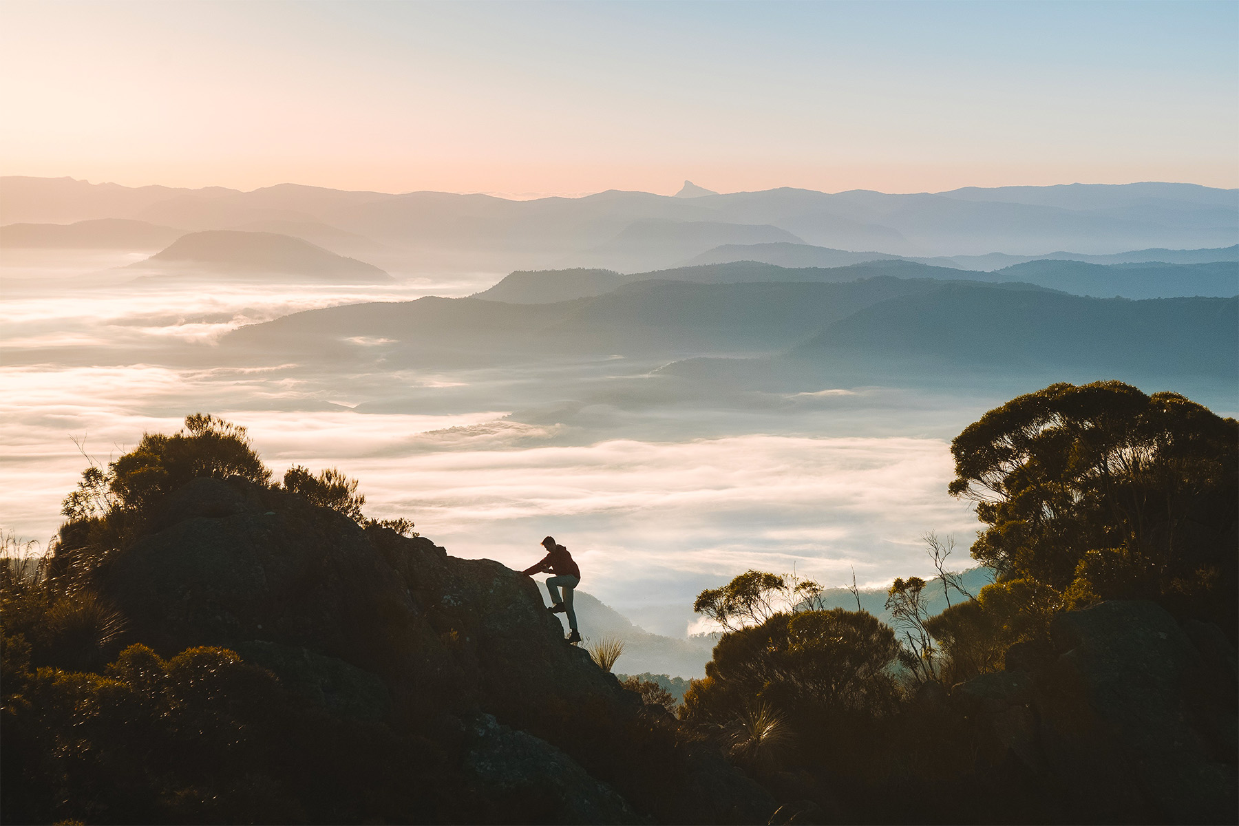 Queensland Parks & Forests Mt Barney (TEQ)