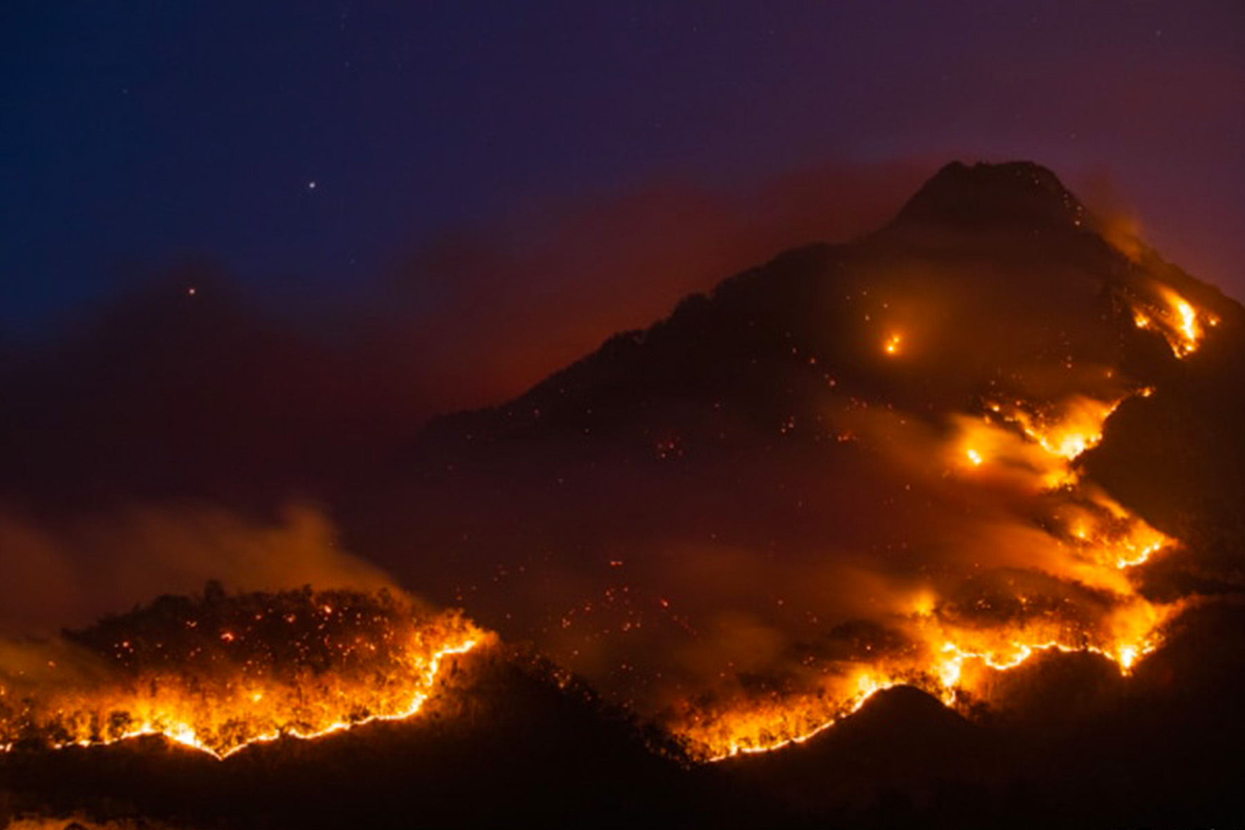 Intense 2024-25 bushfire season