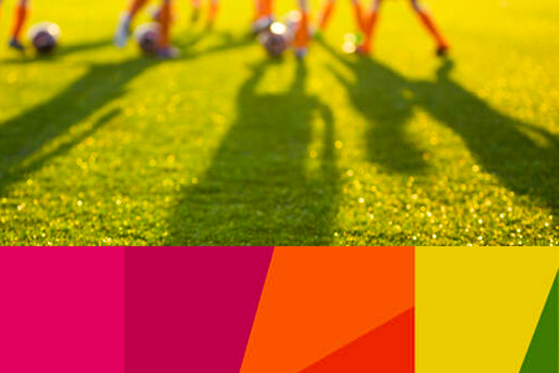 Queensland Sport and Recreation Annual Industry Survey