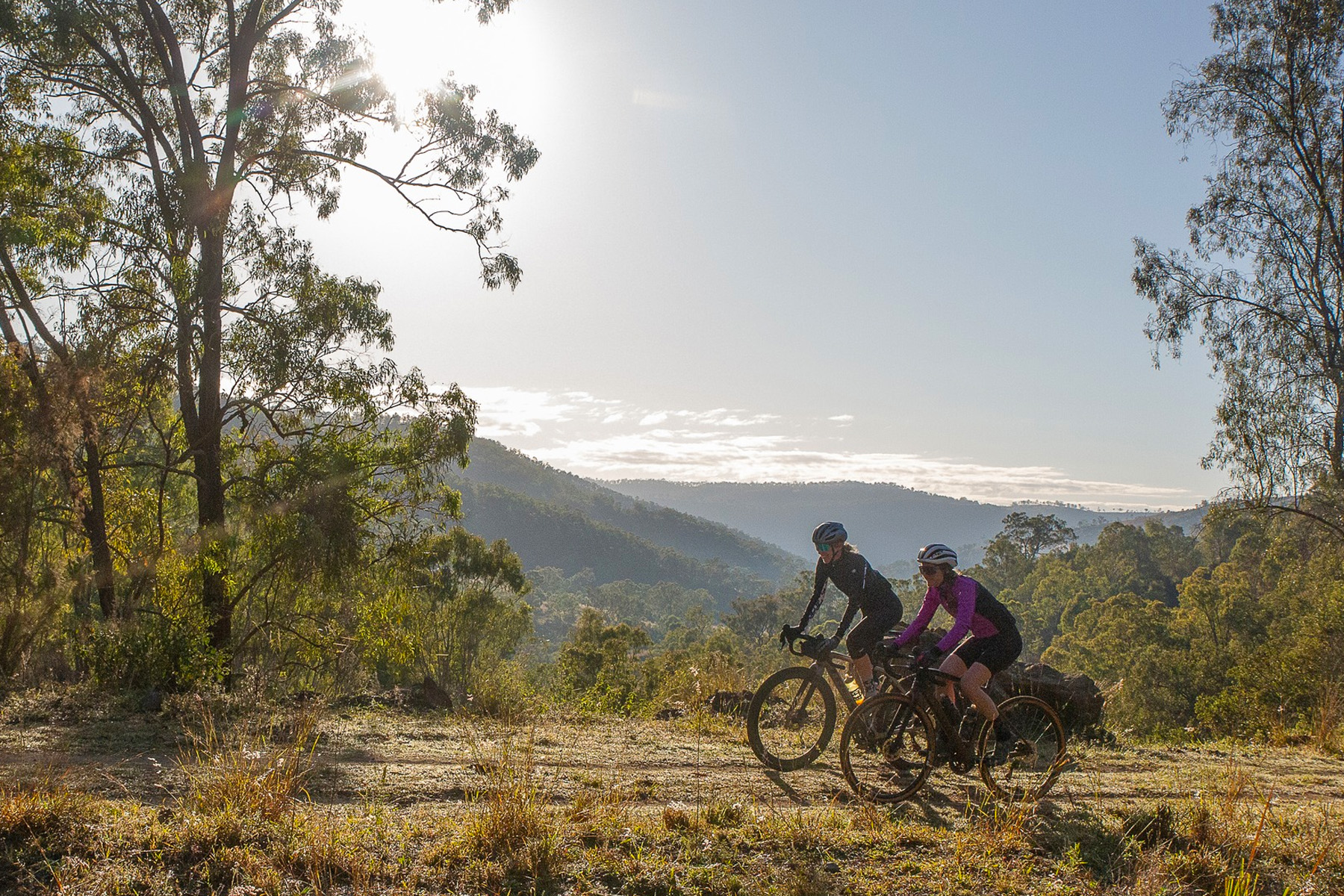 2024 Bicycle Queensland Survey