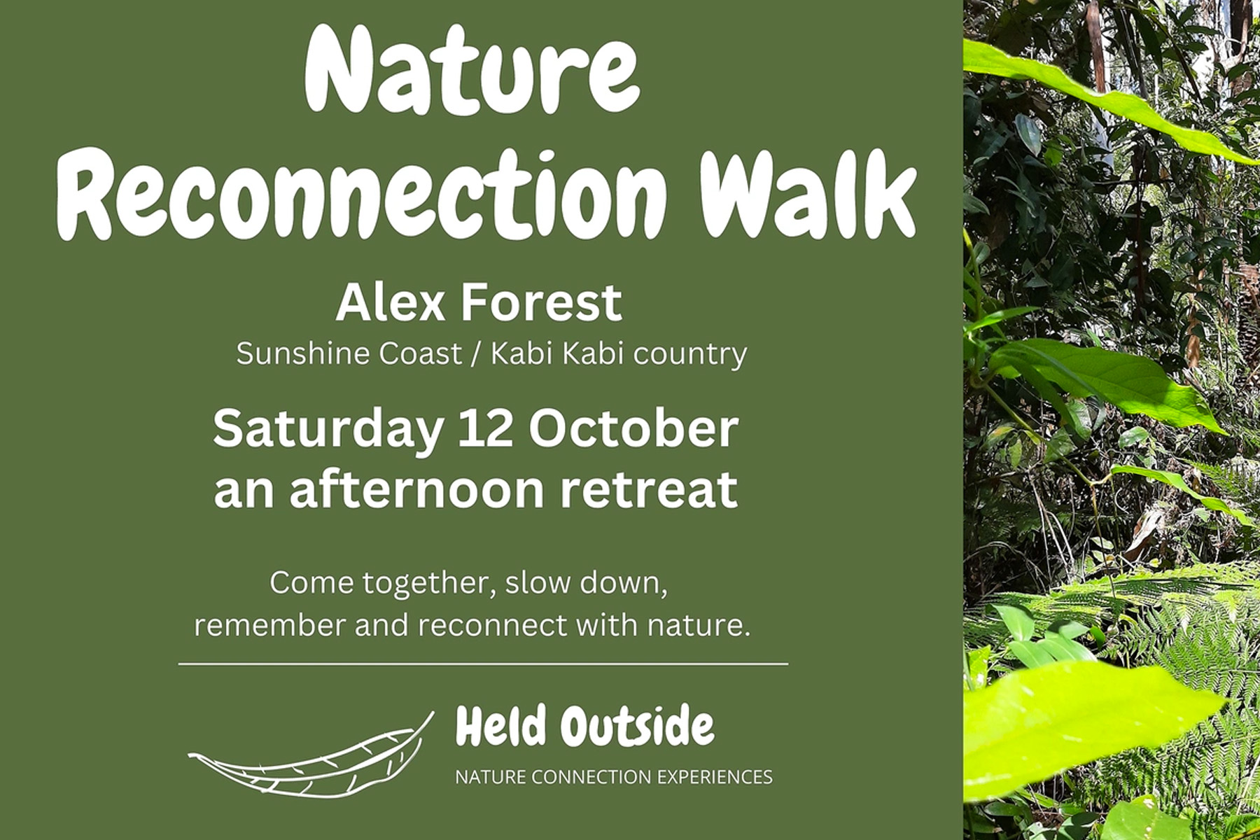 Nature Reconnection Walk at Alex Forest