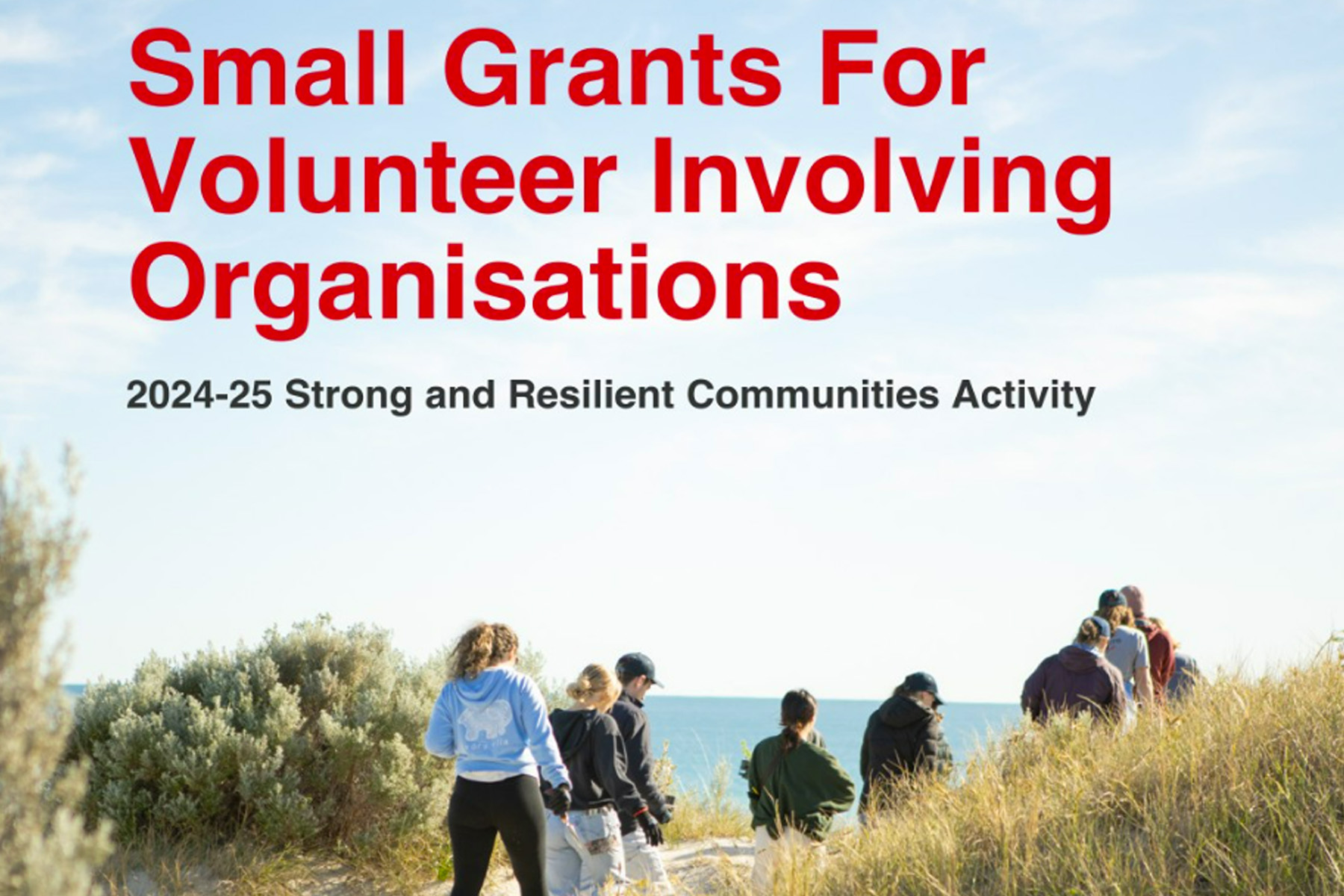 New Volunteer Grants Program