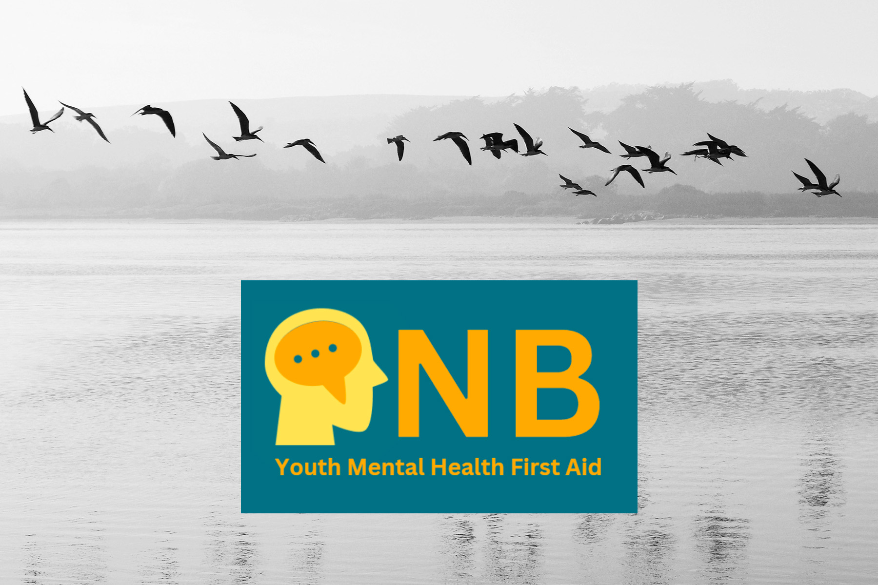 Youth Mental Health First Aid Training