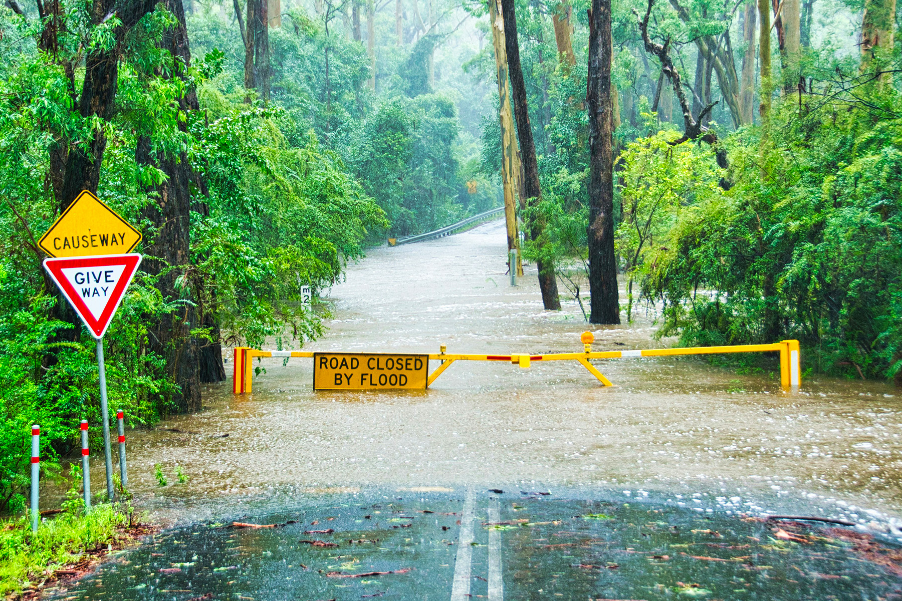 Warnings forecast for parts of Queensland Sport and Recreation Disaster Recovery Program