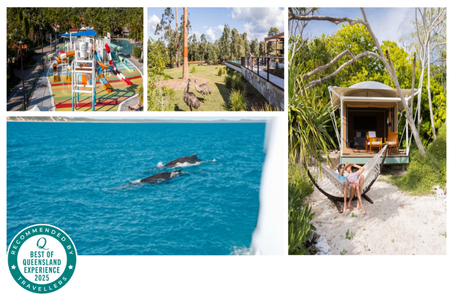 2025 best of qld experiences