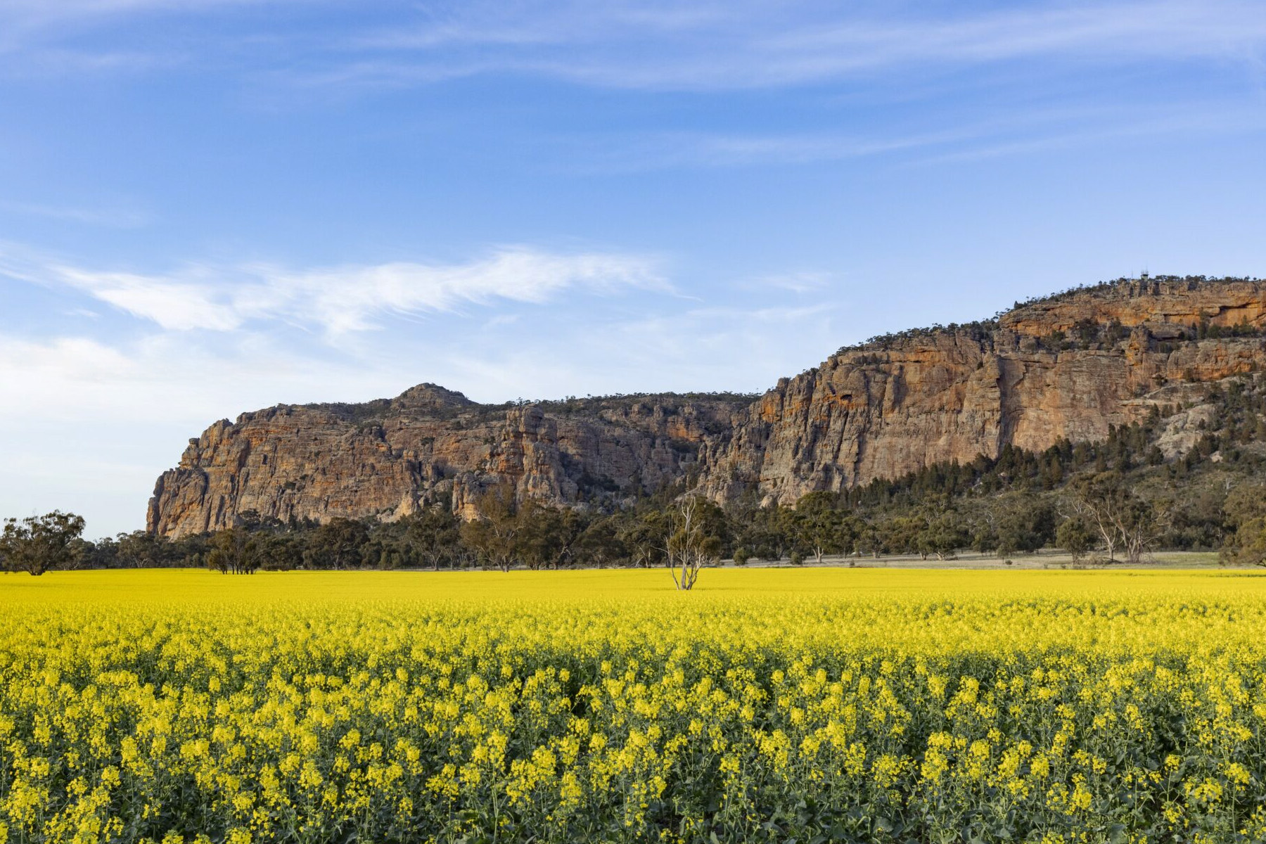 6 Climbing Areas at Risk if the Arapiles Bans Proceed