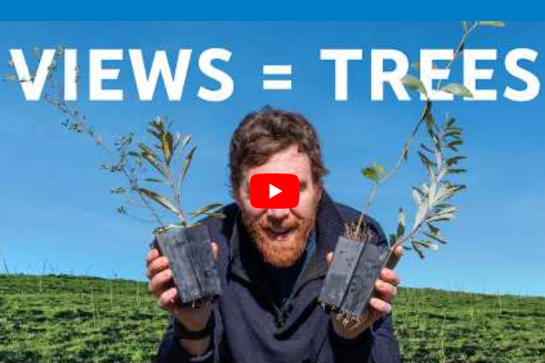 views=treees