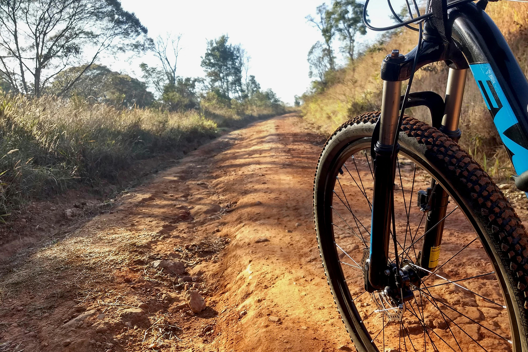 Mountain Bike Feasibility Study Mountain Biking