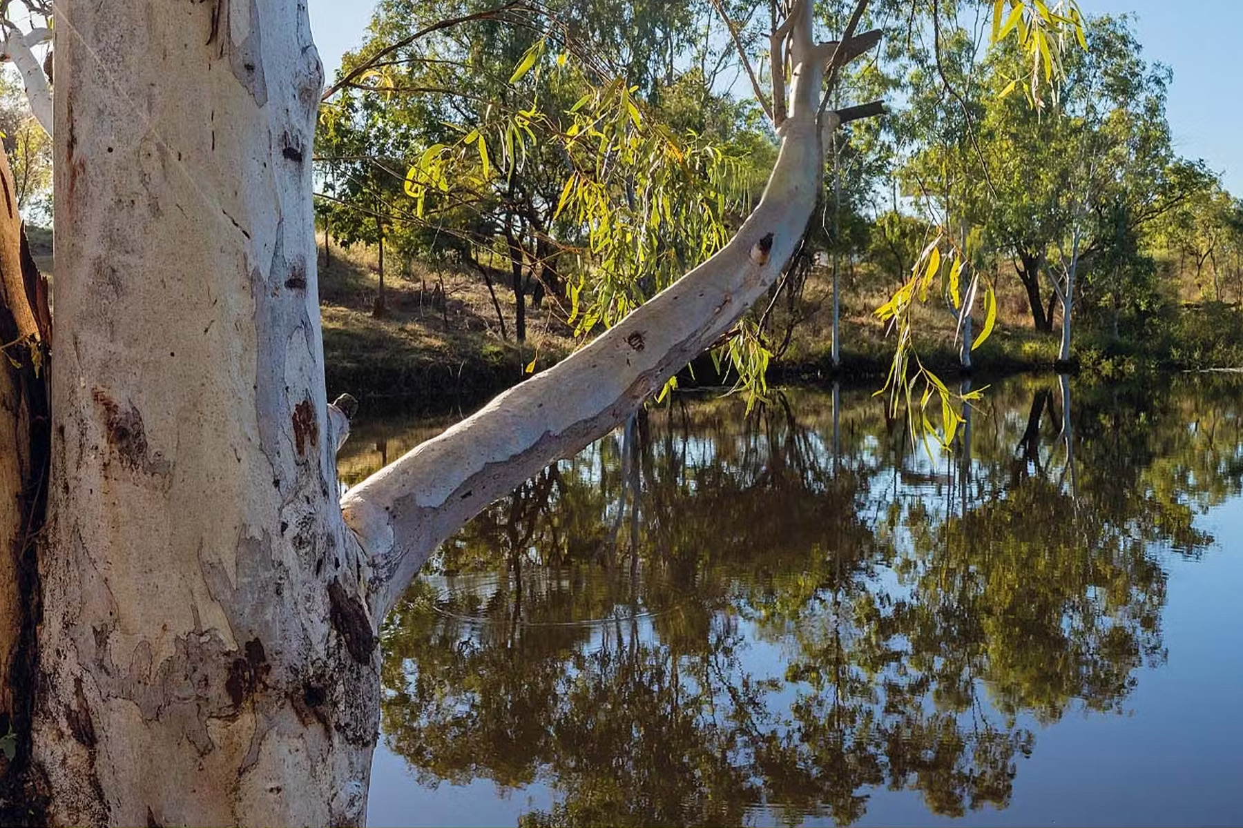 Queensland’s Private Protected Areas