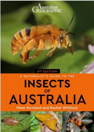 Insects of Australia