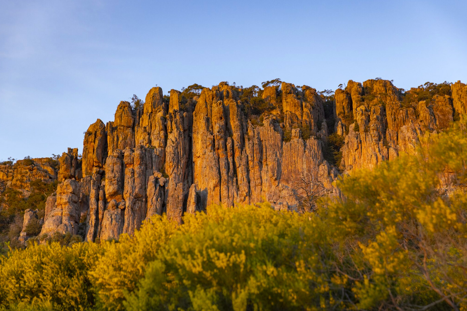From Conflict to Collaboration: Parks Victoria’s Vision for Arapiles
