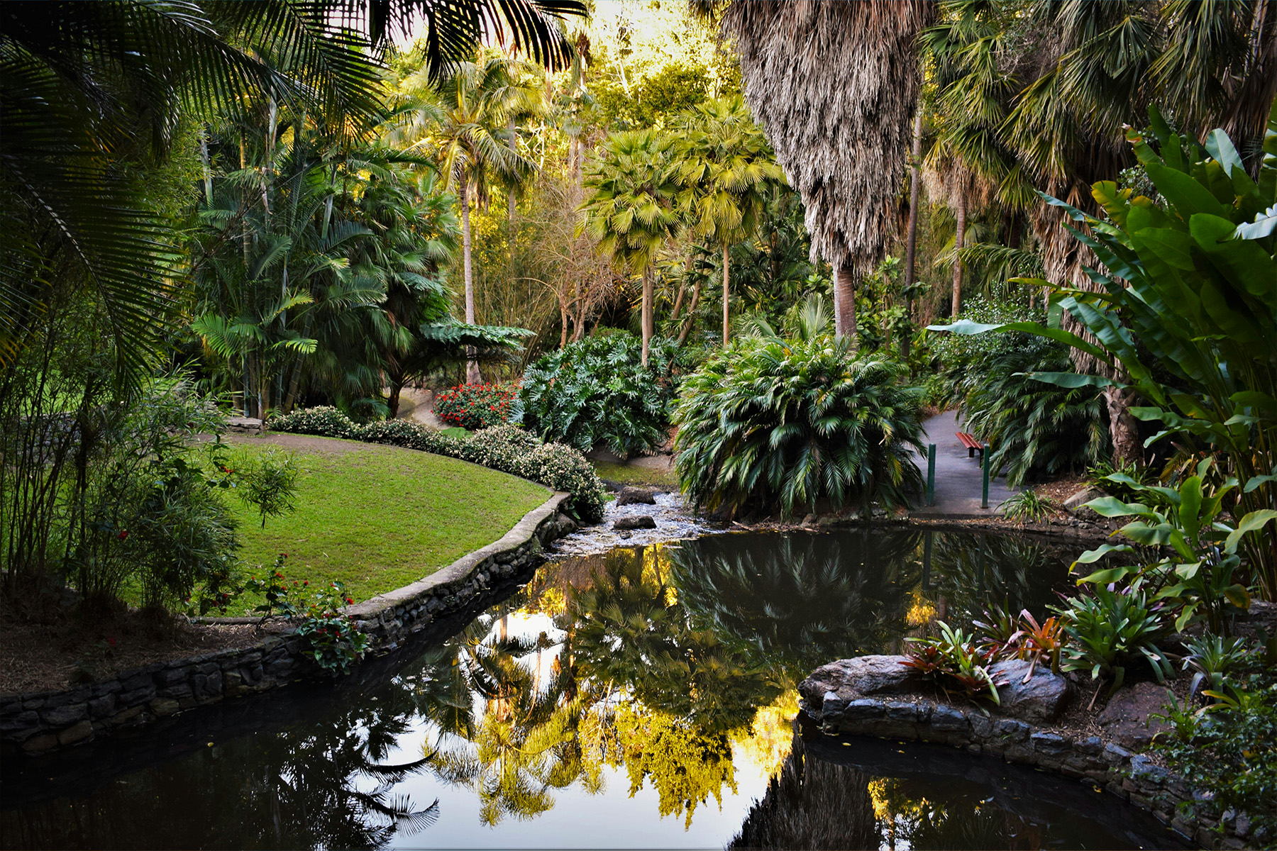 Unique Botanic Gardens in Queensland