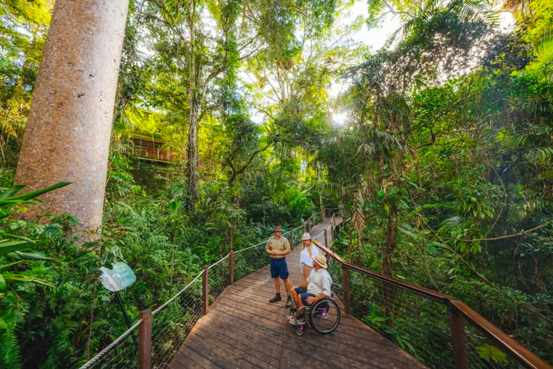 Wheelchair Accessible Walks in Queensland National Parks