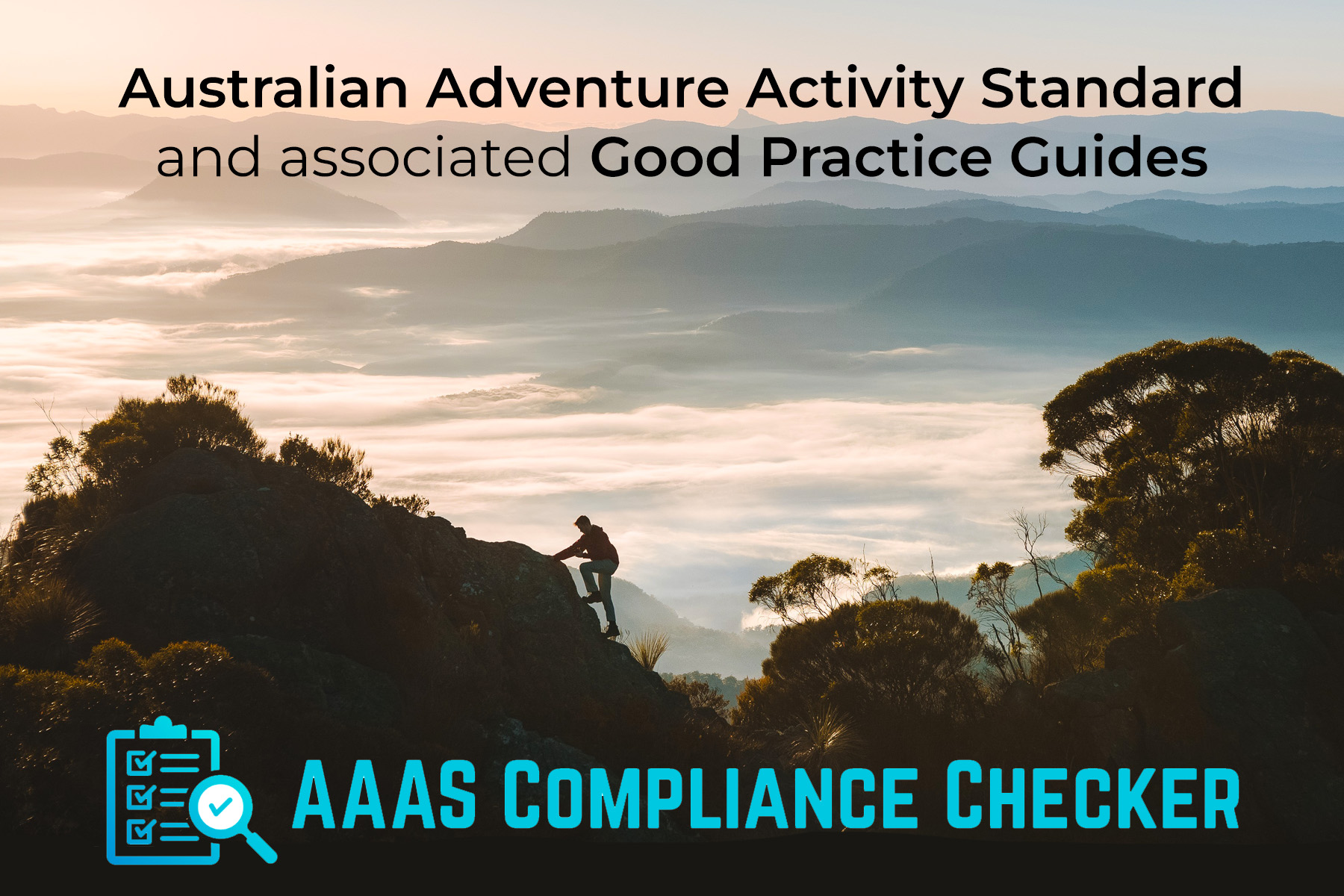 AAAS Compliance Checker
