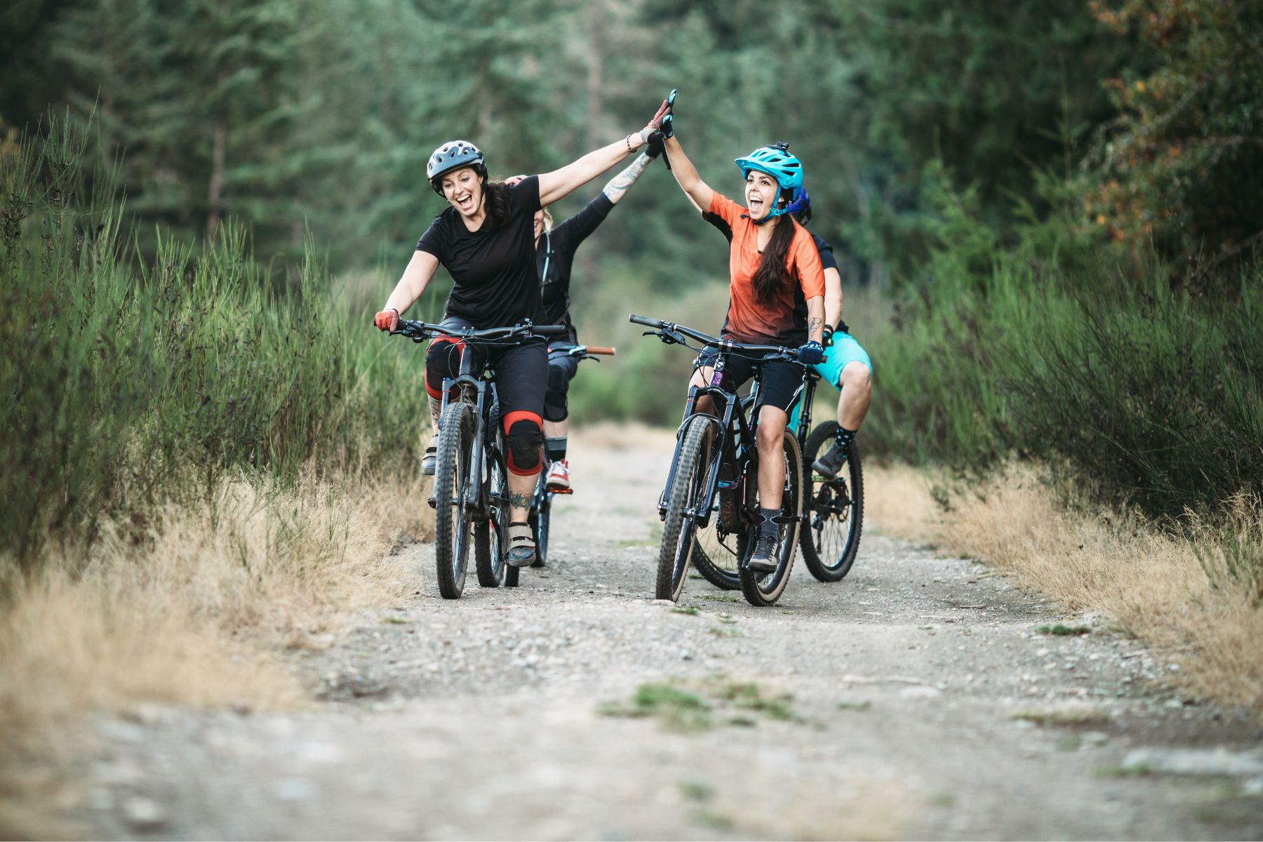 Activity Communities