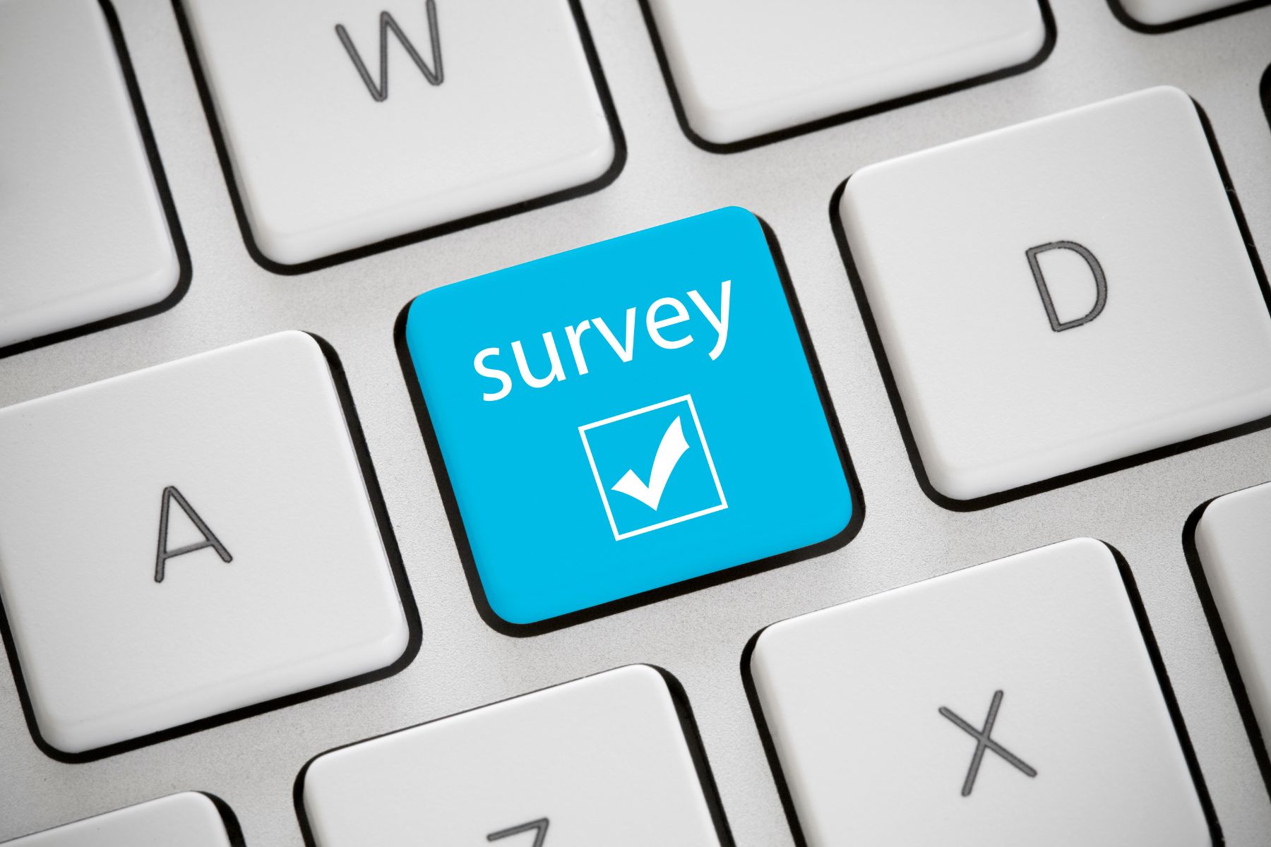 Online Survey