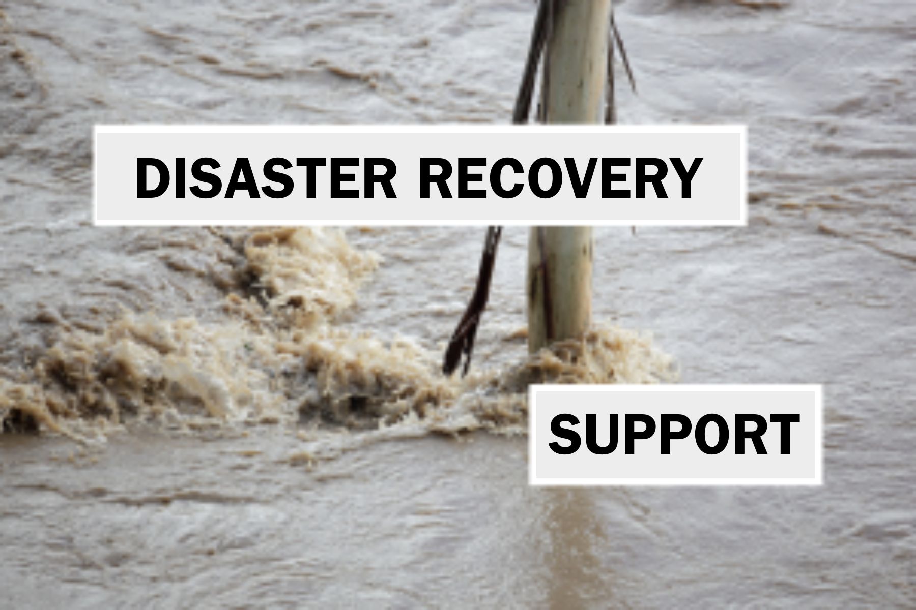 disaster recovery support