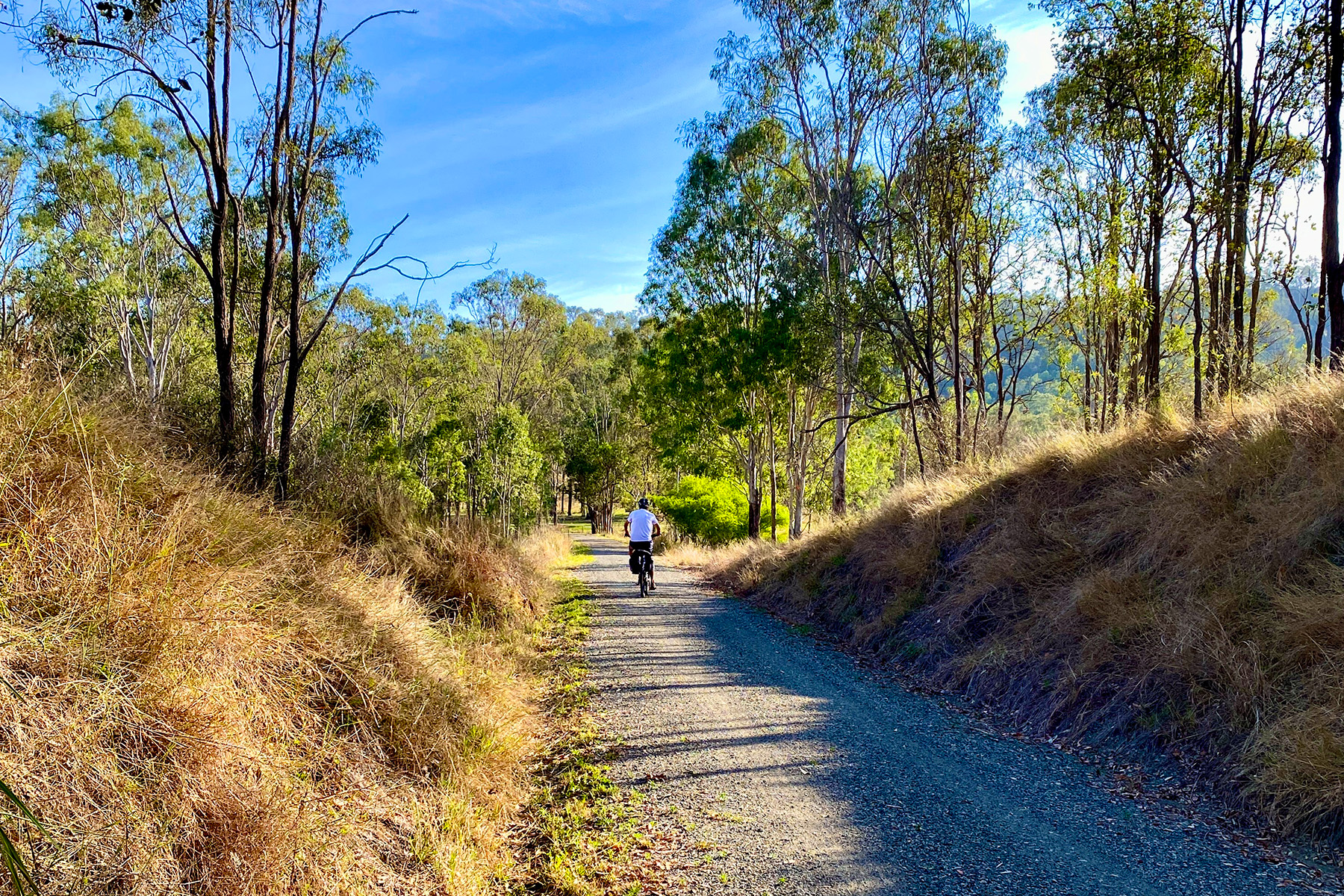 Blackbutt BVRT Survey