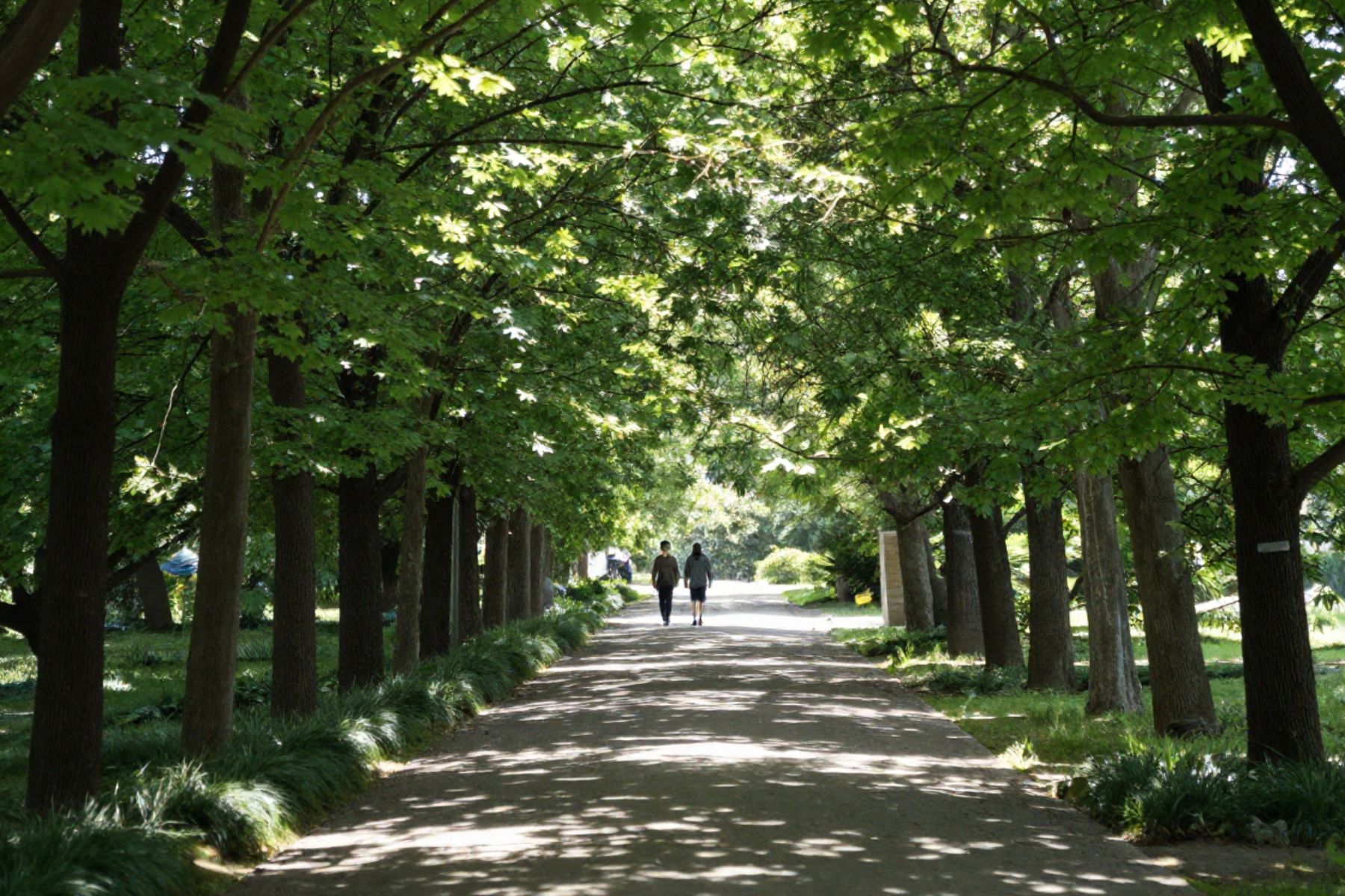 Cool Paths & Places
