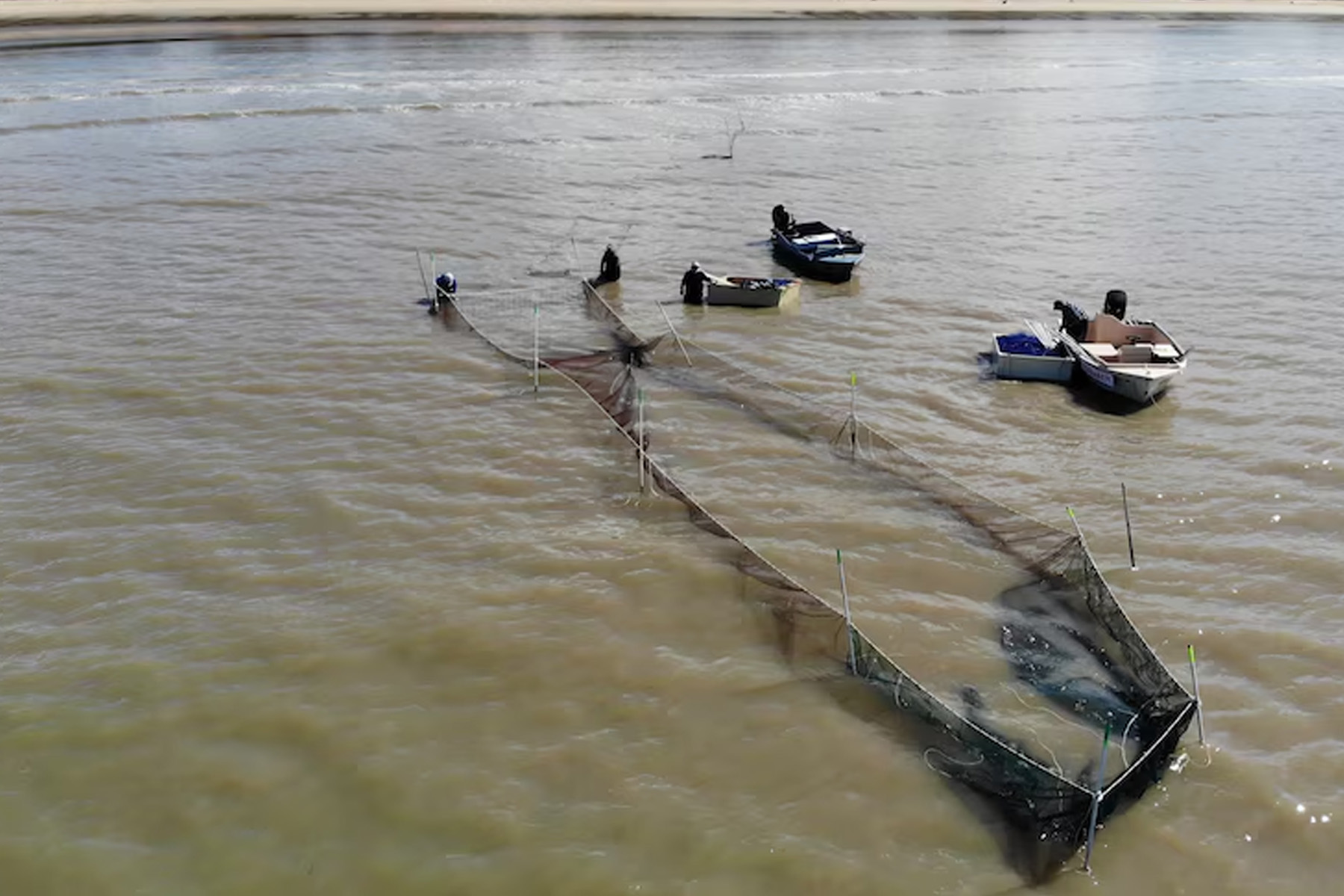 anglers demand end to tunnel-net trials