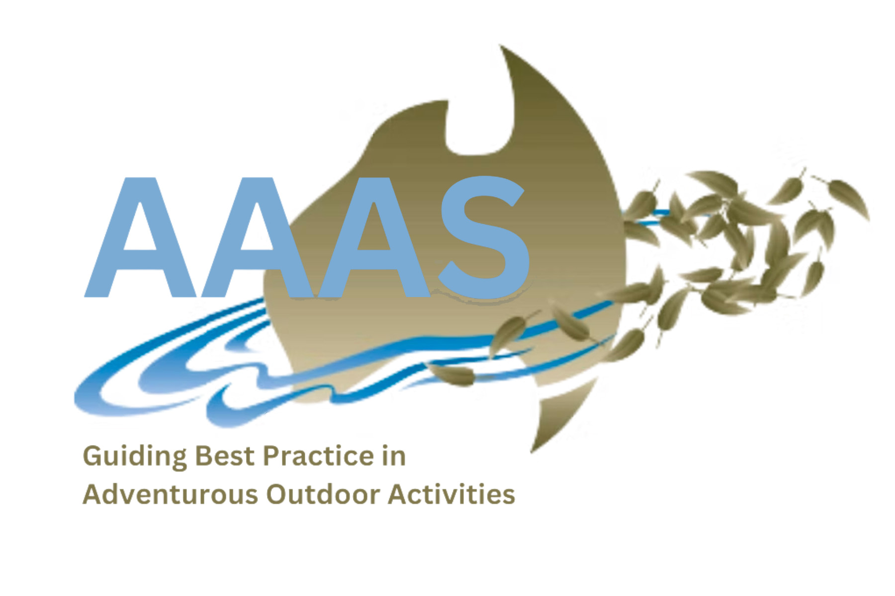 Draft Australian Adventure Activity Standard