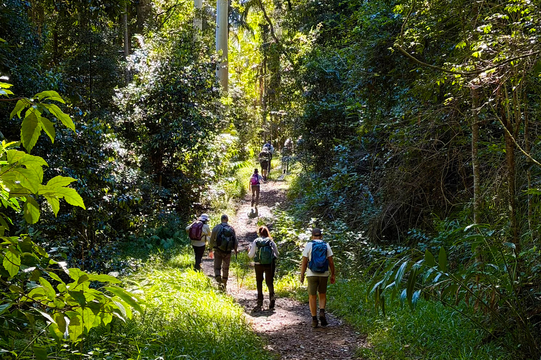 Why Day Hikes Are Underrated!