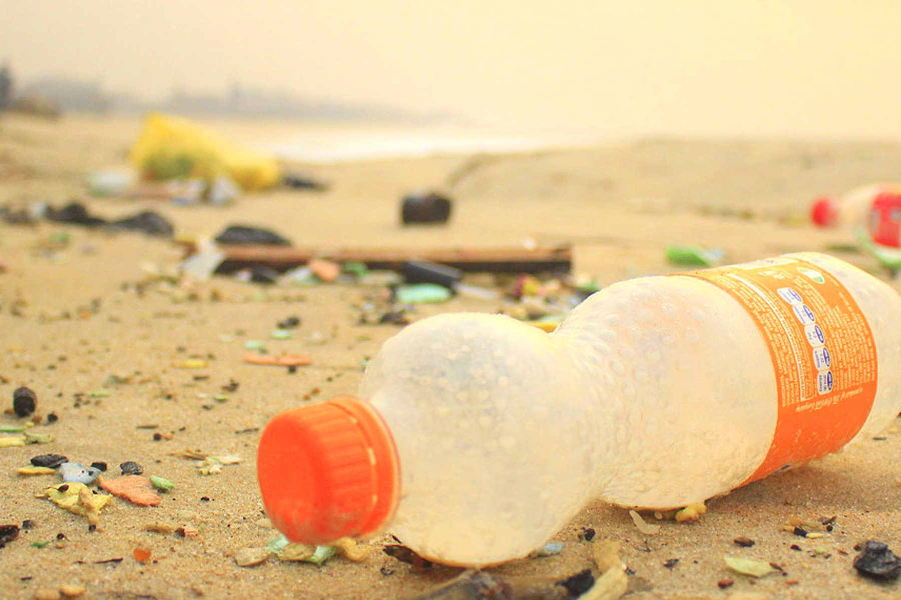 New Beach Cleanup Report