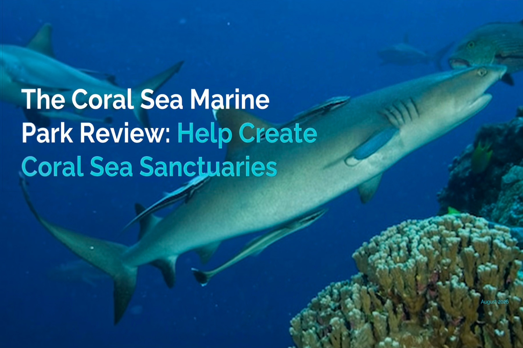 Coral Sea Marine Park